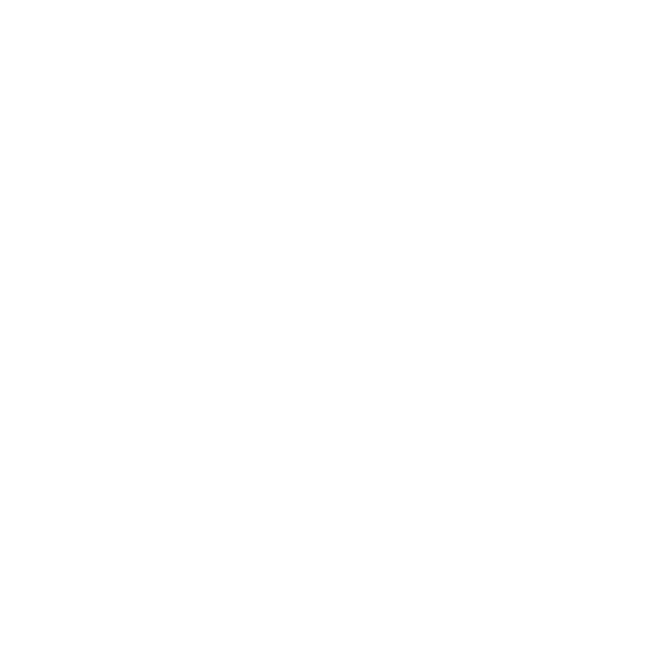 Payload Logo